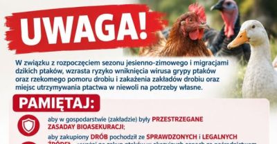 Rośnie ryzyko grypy ptaków i rzekomego pomoru drobiu